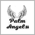 Palm Angles (29)