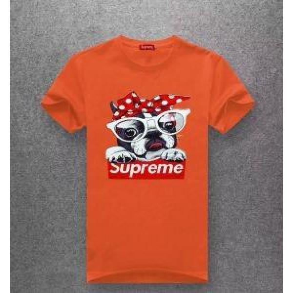 春夏シーズン継続トレンド新着 シュプリーム SUPREME 半袖Tシャツ 多色可選 2019 SPRING／SUMMER_シュプリーム SUPREME_ブランド コピー 激安(日本最大級)