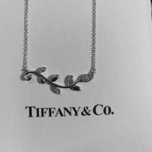 2019年SSトレンド新品登場 ティファニー Tiffany...