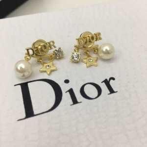 真冬でおしゃれに着こなす ディオール 秋冬おしゃれをより楽しませる DIOR 冬のお出かけの相棒に ピアス 秋冬カジュアルの定番_ディオール DIOR_ブランド コピー 激安(日本最大級)