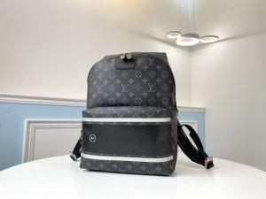 LOUIS VUITTON 機能も見た目も素敵 レディースバ...