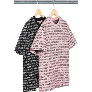 半袖Tシャツ 軽やかに着たい春夏コーデ シュプリーム 2色可...