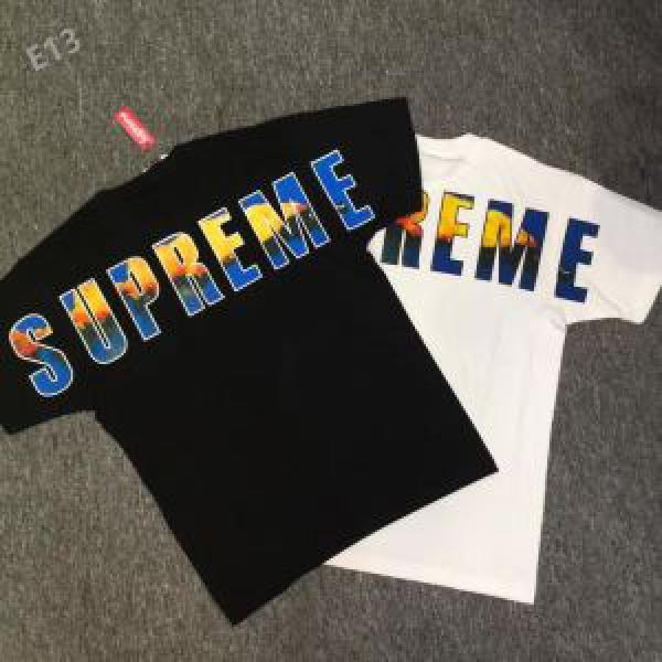 高級感ある 半袖Tシャツ 体の運動機能を助け  2017春夏 シュプリーム SUPREME 2色可選_半袖Tシャツ_メンズファッション_スーパーコピーブランド激安通販 専門店  