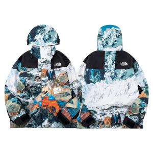 The North Face  x INVINCIBLE Printed Nuptse Jacket シュプリーム秋冬もちろん主役級  SUPREME ジャケットスーパーコピーブランド激安通販 専門店