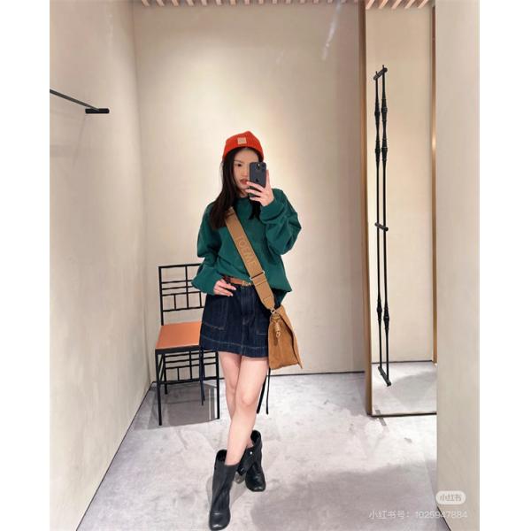 2025秋冬 ロエベ LOEWE コピー パーカー グレー刺繍ロゴ 高品質で洗練された着こなし