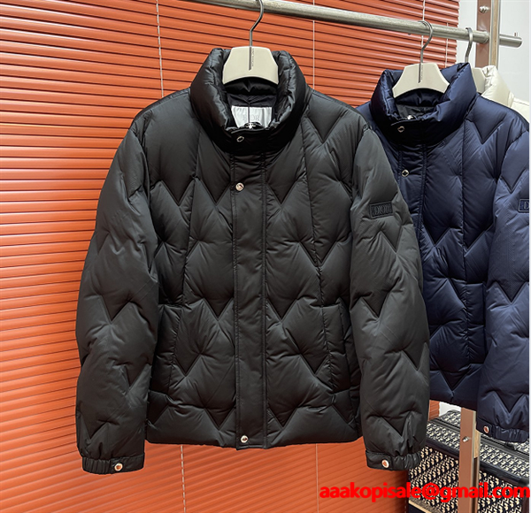 2025秋冬ファッションに合わせたい ディオールダウンジャケットコピーDIOR 秋のコーデで使いやすい__ブランド コピー 激安(日本最大級)