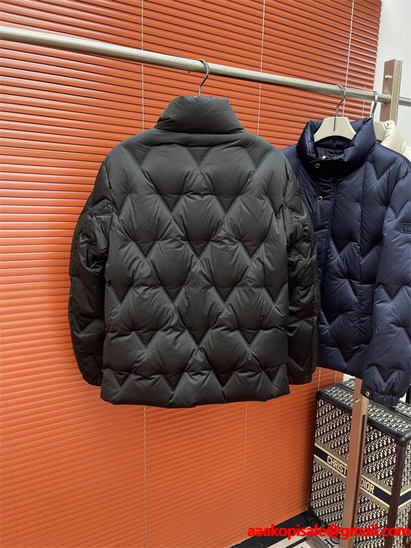 2025秋冬ファッションに合わせたい ディオールダウンジャケットコピーDIOR 秋のコーデで使いやすい__ブランド コピー 激安(日本最大級)