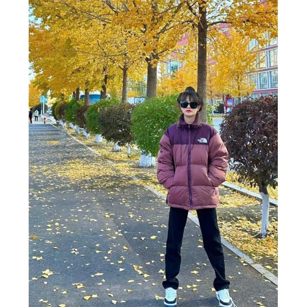 ブラウン拼色ダウンジャケット クラシックモデル 2025秋冬定番 ザノースフェイス The North Face コピー