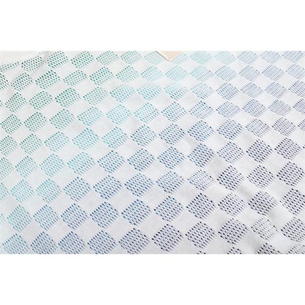 LOUIS VUITTON 路易威登 2025秋冬新作 激安 棋盤格渐变ジャカード クルーネック ニット