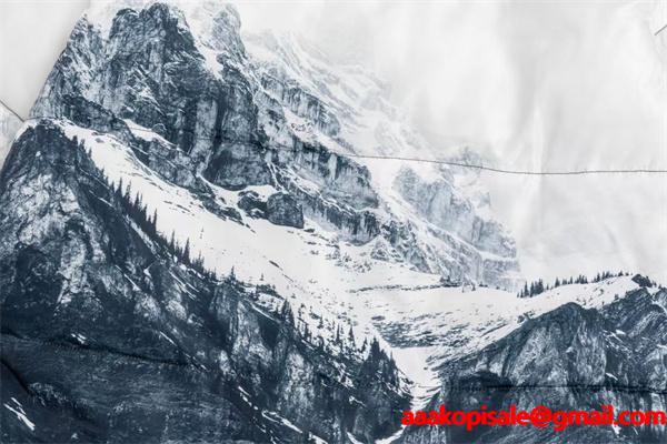 THE NORTH FACE ザノースフェイス 偽物 秋冬注目 ダウンジャケット 保温効果トレンド コーデ 