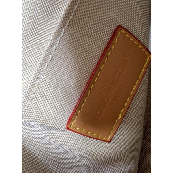 注目必至 カラフル映え 軽快 カメラバッグ LOUIS VUITTON ルイヴィトン コピー