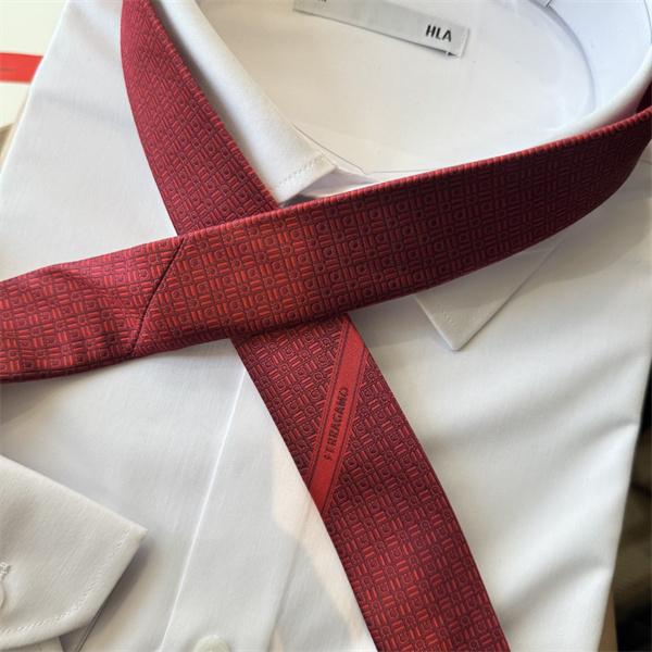 使いやすいお洒落 フェラガモネクタイコピー FERRAGAMO_ブランド 激安(日本最大級)