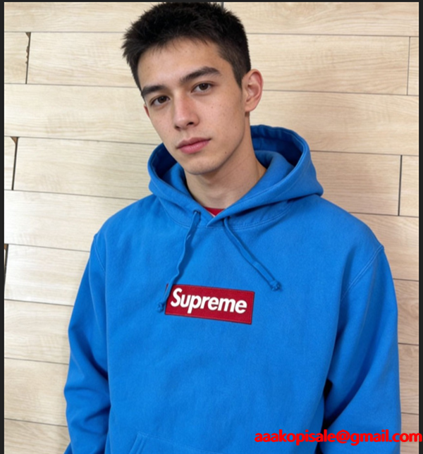 Supreme FW25 WEEK15 Box Logo Hooded Sweatshirt 秋のお出かけに最適 シュプリームパーカー  コピー 激安(日本最大級)