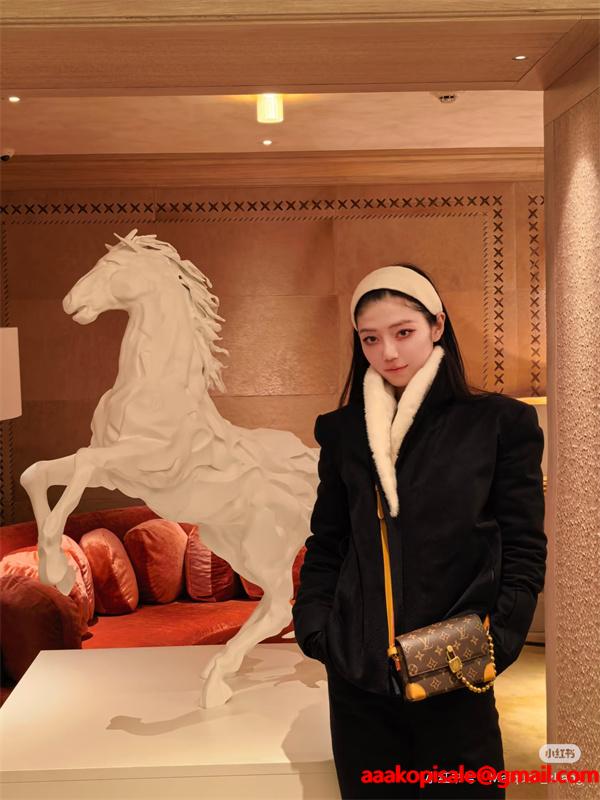 4色旅行好きの方々にオススメ  Louis Vuitton ルイ ヴィトンショルダーバッグ スーパーコピー メンズ 大容量