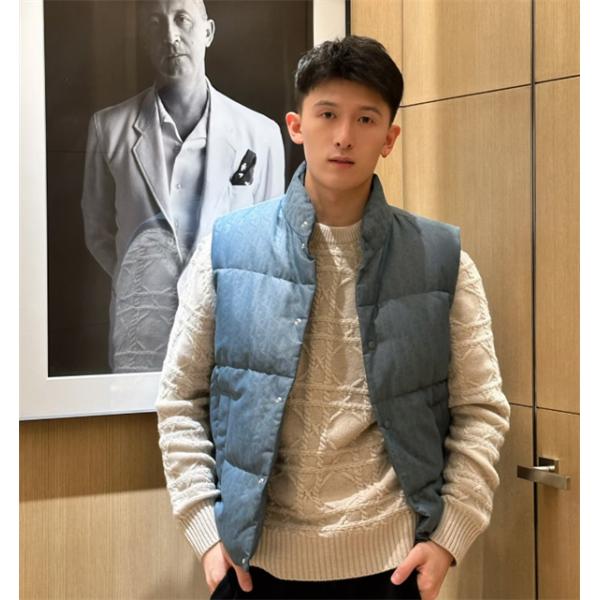 DIOR新作☆ ディオールベストダウンコピーObliqueプリント人気ランキングユニセックス