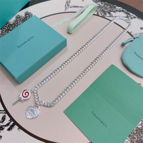 Tiffany&Co ティファニー コピー 存在感チェーン アイコニック チャーム ネックレス