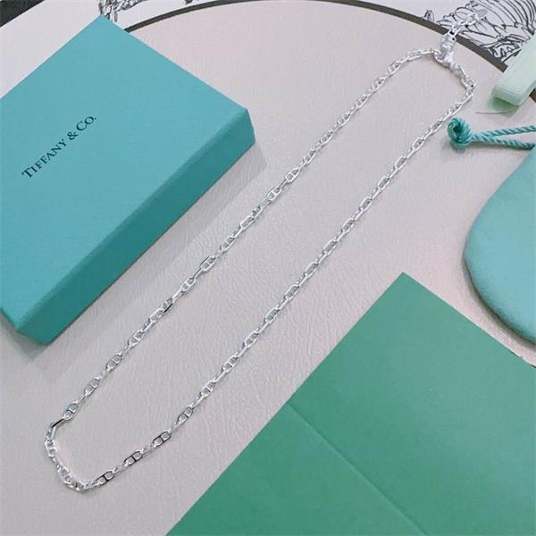数量限定 2026新作 シンプル チェーン Tiffany&Co ティファニー コピー ネックレス