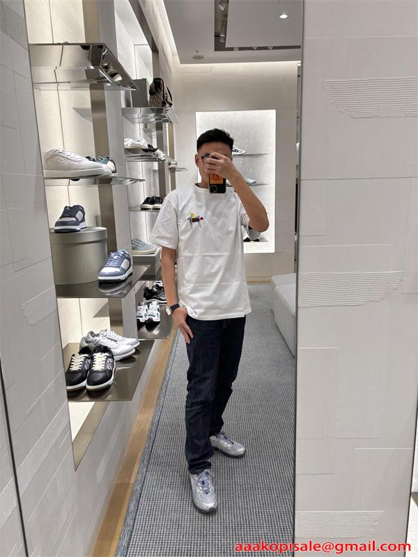 人気 刺繍 半袖 Tシャツ DIOR ホワイト グレー クルーネック シンプル スーパーコピー 高級感 ディオール
