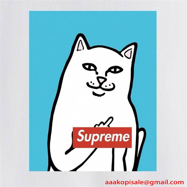 高い人気 SUPREME  2026SSのトレンド商品 夏にぴったり上品 シュプリーム tシャツコピー 激安(日本最大級)