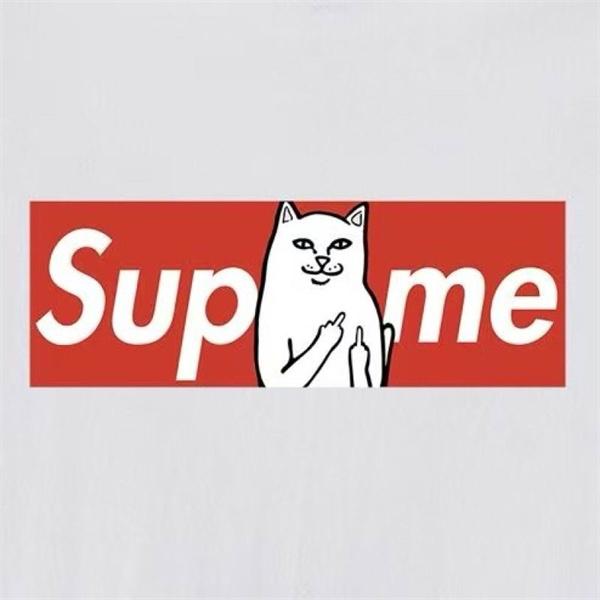 高い人気 SUPREME  2026SSのトレンド商品 夏にぴったり上品 シュプリーム tシャツコピー 激安(日本最大級)