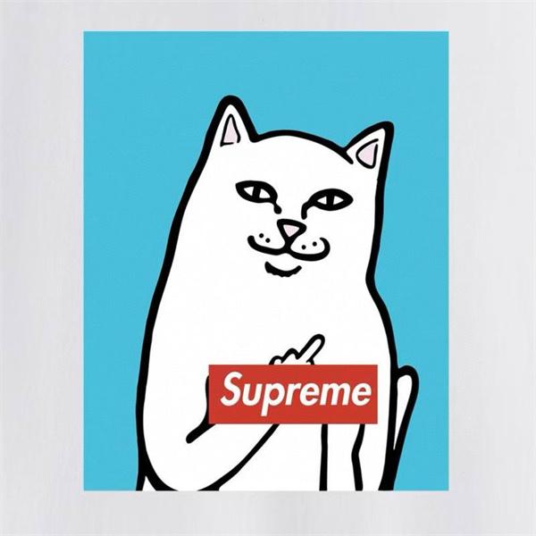 高い人気 SUPREME  2026SSのトレンド商品 夏にぴったり上品 シュプリーム tシャツコピー 激安(日本最大級)
