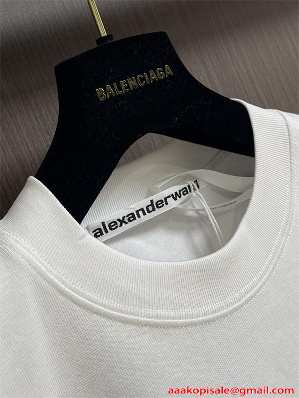 長袖Tシャツ Alexander wang ミニロゴ アレキサンダーワン コピー クリーンスタイル ゆったりシルエット 春秋