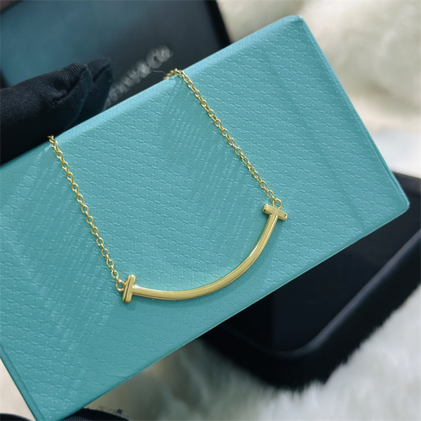 2026流行りティファニー ネックレスコピーTiffany ＆ Coアクセサリーコーディネート人気