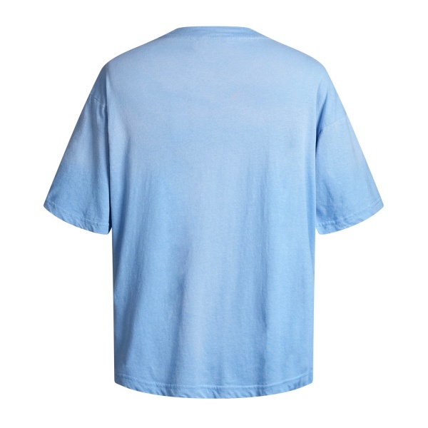 ACNE STUDIOS アクネストゥディオズ 2026 STOCKHOLM ロゴプリント アイスブルー 半袖Tシャツ ウォッシュ加工 ルーズフィット クルーネック カットソー メンズ レディース