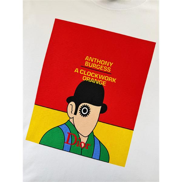 ホワイト 半袖Tシャツ Dior アートグラフィックプリント ディオール コピー カラーブロック クルーネック メンズカジュアル
