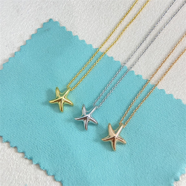 ティファニー Tiffany ＆ Coコピー新作五角星ネックレス人気2026