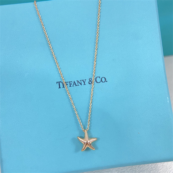 ティファニー Tiffany ＆ Coコピー新作五角星ネックレス人気2026