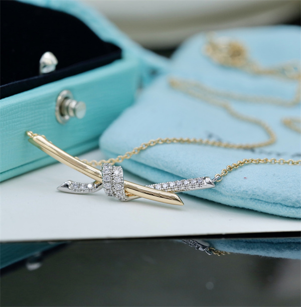 ティファニーネックレスコピー2026トレンドファッション性抜群 Tiffany ＆ Co★アクセサリー激安販売