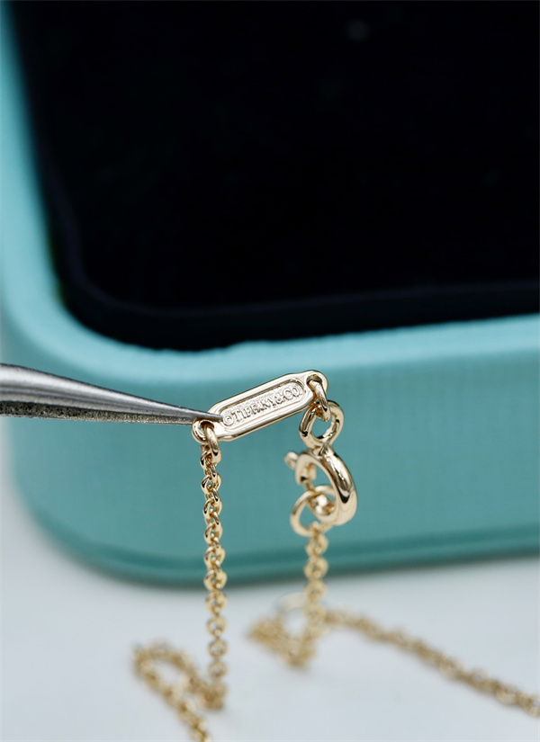 ティファニーネックレスコピー2026トレンドファッション性抜群 Tiffany ＆ Co★アクセサリー激安販売