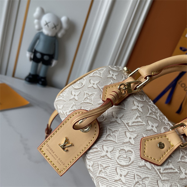 ミニサイズ レザーアクセント 収納力デザイン デイリーユース LOUIS VUITTON ルイヴィトン コピー ショルダーバッグ 高見えスタイル