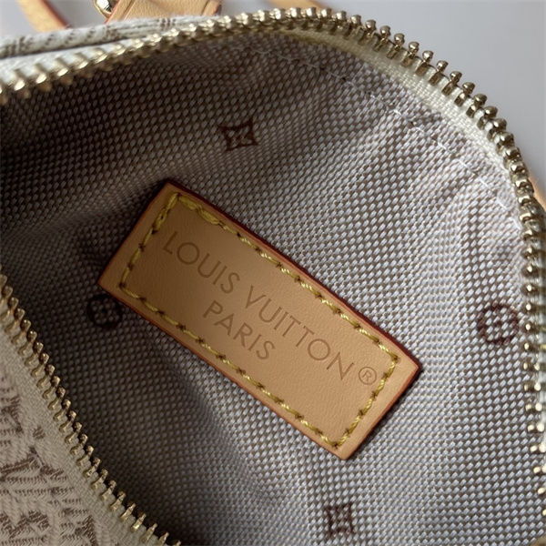 ミニサイズ レザーアクセント 収納力デザイン デイリーユース LOUIS VUITTON ルイヴィトン コピー ショルダーバッグ 高見えスタイル