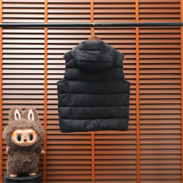 秋冬の人気4色 ARC'TERYX アークテリクス コピー ダウンベスト Thoriumフード付きレディース