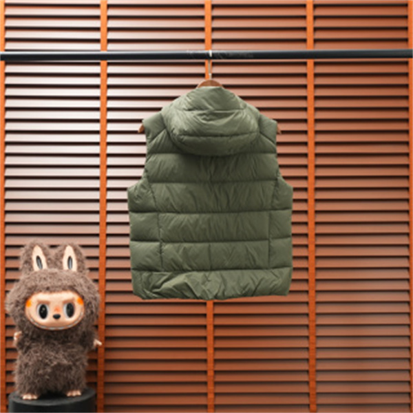 秋冬の人気4色 ARC'TERYX アークテリクス コピー ダウンベスト Thoriumフード付きレディース