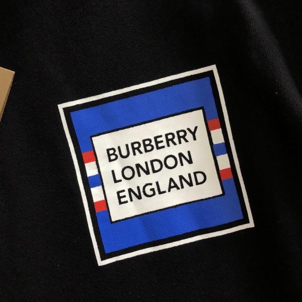 立体ロゴ バックプリント BURBERRY バーバリー コピー パーカー メンズ レディース 秋冬 長袖 ストリート カジュアル ペアルック