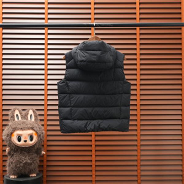秋冬の人気4色 ARC'TERYX アークテリクス コピー ダウンベスト Thoriumフード付きレディース