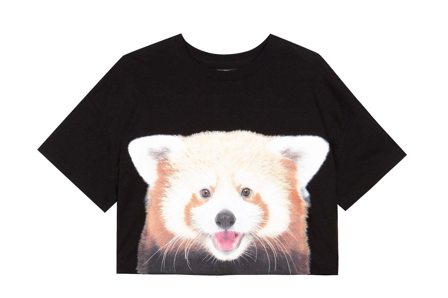 ベルシュカの“レッサーパンダ”Tシャツやダウン、自然雑誌『ナショナルジオグラフィック』とコラボ 