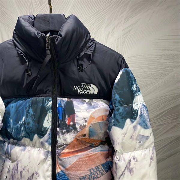 2022AW最新入荷完売品 The North Face INVINCIBLE ザノースフェイス 