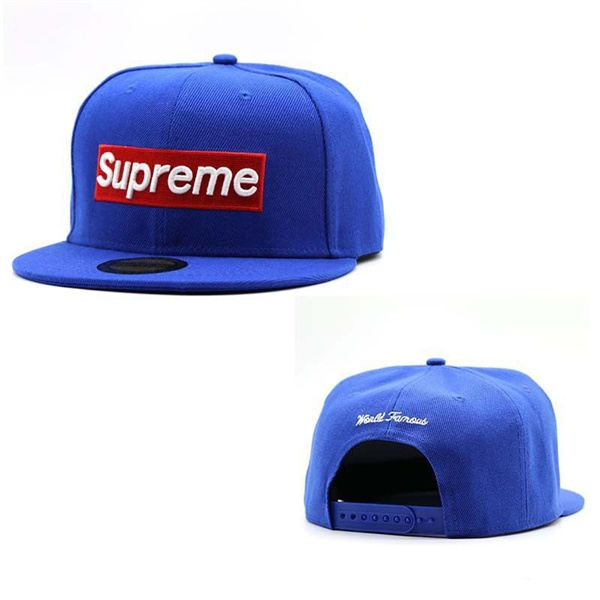 Supreme Cap (5)1010361_929919.jpg