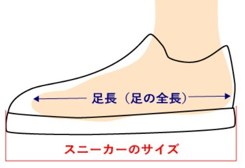 1777276798713910.png 123132dasd465ad465a.png